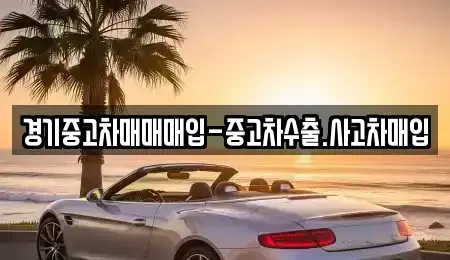 경기도 고양시 덕양구 화정동 중고차 전문 경기중고차매매매입-중고차수출.사고차매입
