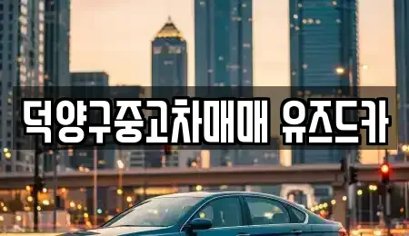경기도 고양시 덕양구 화정동 중고차 전문 덕양구중고차매매 유즈드카
