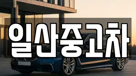 경기도 고양시 덕양구 화정동 중고차 전문 일산중고차