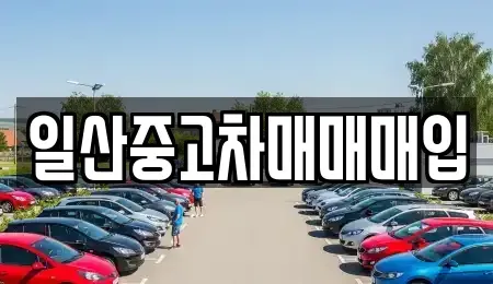 경기도 고양시 덕양구 화정동 중고차 전문 일산중고차매매매입