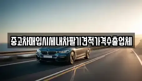 경기도 고양시 덕양구 화정동 중고차매입 전문 중고차매입시세내차팔기견적가격수출업체