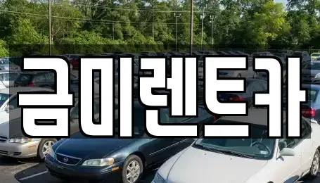 경기도 광명시 가학동 렌트카 전문 금미렌트카