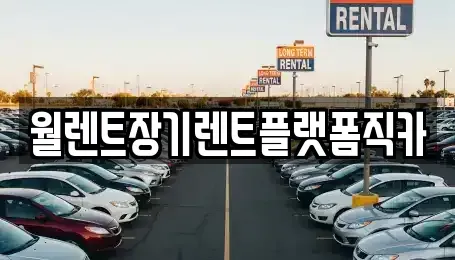 경기도 광명시 가학동 장기렌트카 전문 월렌트장기렌트플랫폼직카