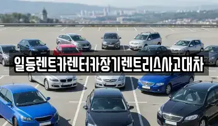 경기도 광명시 가학동 장기렌트카 전문 일등렌트카렌터카장기렌트리스사고대차