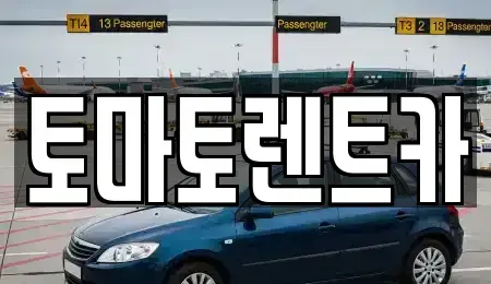 경기도 광주시 삼동 렌트카 전문 토마토렌트카