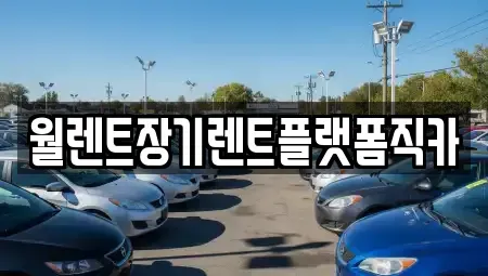 경기도 광주시 삼동 장기렌트카 전문 월렌트장기렌트플랫폼직카