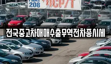 경기도 광주시 삼동 중고차 전문 전국중고차매매수출무역전차종시세