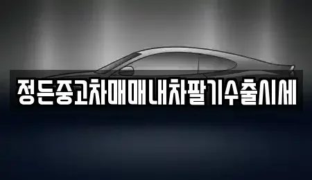 경기도 광주시 삼동 중고차매매 전문 정든중고차매매내차팔기수출시세