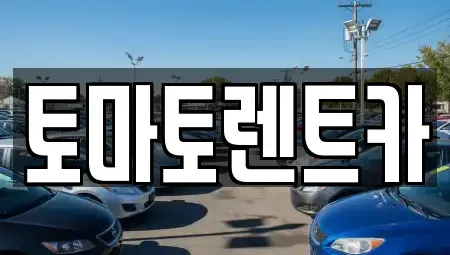 경기도 광주시 송정동 렌트카 전문 토마토렌트카