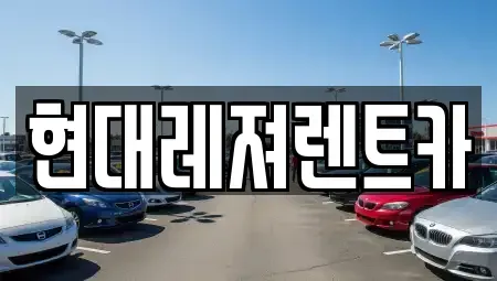 경기도 광주시 송정동 렌트카 전문 현대레져렌트카
