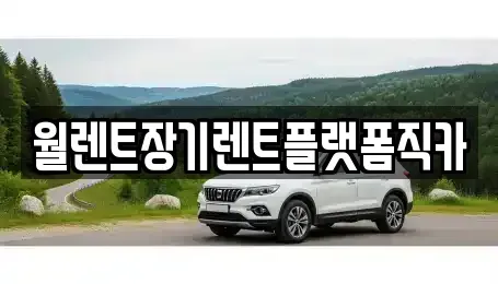 경기도 광주시 송정동 장기렌트카 전문 월렌트장기렌트플랫폼직카