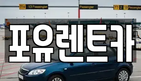 경기도 광주시 송정동 장기렌트카 전문 포유렌트카