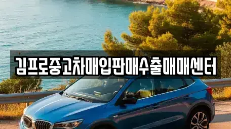 경기도 광주시 송정동 중고차매입 전문 김프로중고차매입판매수출매매센터