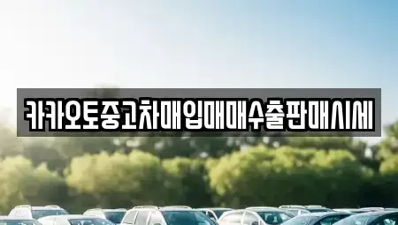 경기도 광주시 송정동 중고차매입 전문 카카오토중고차매입매매수출판매시세
