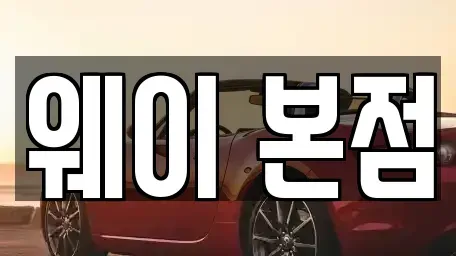 경기도 군포시 금정동 단기렌트카 전문 웨이 본점