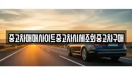 경기도 군포시 금정동 중고차 전문 중고차매매사이트중고차시세조회중고차구매