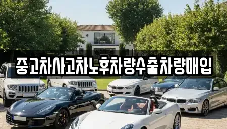 경기도 군포시 금정동 중고차 전문 중고차사고차노후차량수출차량매입