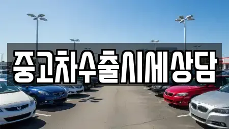 경기도 군포시 금정동 중고차 전문 중고차수출시세상담