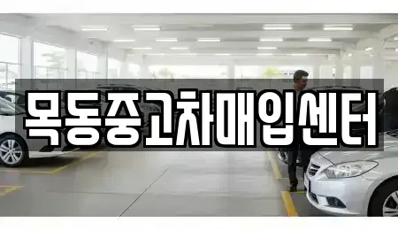 경기도 군포시 금정동 중고차매입 전문 목동중고차매입센터