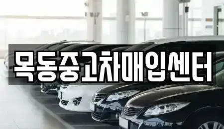 경기도 군포시 금정동 중고차매입 전문 목동중고차매입센터
