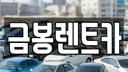 경기도 군포시 부곡동 렌트카 전문 금봉렌트카
