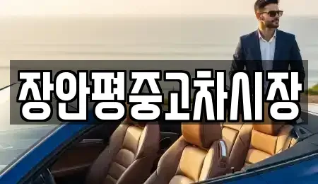 경기도 군포시 부곡동 중고차매매 전문 장안평중고차시장