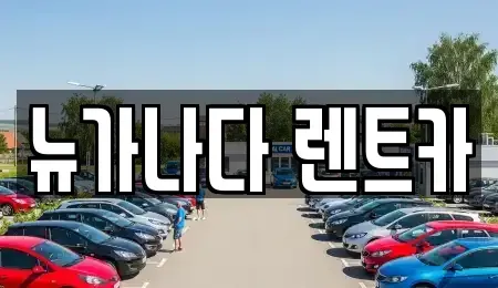 경기도 김포시 운양동 렌트카 전문 뉴가나다 렌트카
