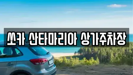 경기도 김포시 운양동 장기렌트카 전문 쏘카 산타마리아 상가주차장