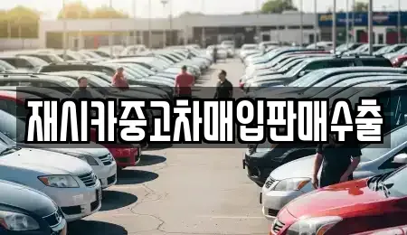경기도 김포시 운양동 중고차매입 전문 재시카중고차매입판매수출