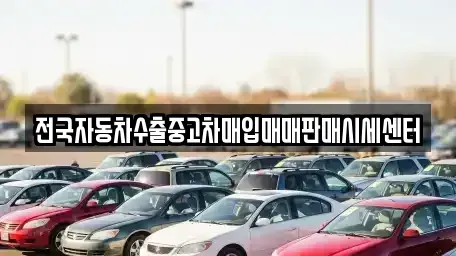 경기도 김포시 운양동 중고차매입 전문 전국자동차수출중고차매입매매판매시세센터