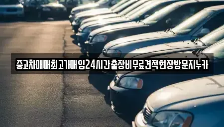 경기도 김포시 운양동 중고차매입 전문 중고차매매최고가매입24시간출장비무료견적현장방문지누카