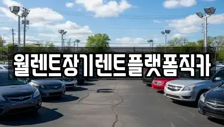 경기도 남양주시 삼패동 장기렌트카 전문 월렌트장기렌트플랫폼직카