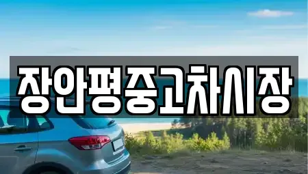 경기도 남양주시 삼패동 중고차 전문 장안평중고차시장