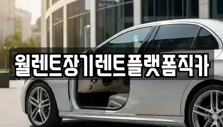 경기도 남양주시 수석동 장기렌트카,중고차,렌트카,단기렌트카,중고차매입,중고차매매