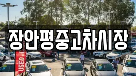 경기도 남양주시 수석동 중고차 전문 장안평중고차시장