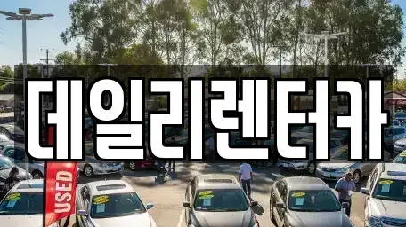 경기도 성남시 분당구 백현동 단기렌트카 전문 데일리렌터카