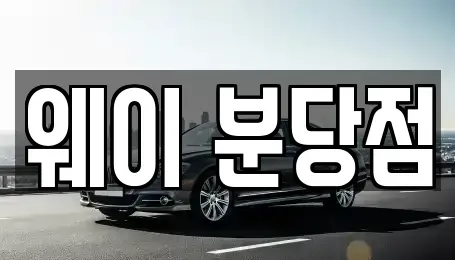 경기도 성남시 분당구 백현동 단기렌트카 전문 웨이 분당점