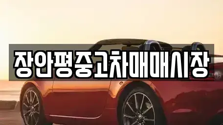 경기도 성남시 분당구 백현동 중고차매매 전문 장안평중고차매매시장