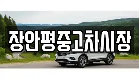 경기도 성남시 분당구 백현동 중고차매매 전문 장안평중고차시장