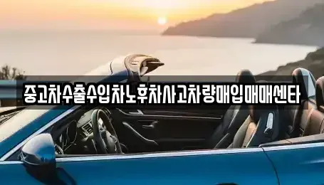 경기도 성남시 분당구 백현동 중고차매매 전문 중고차수출수입차노후차사고차량매입매매센타