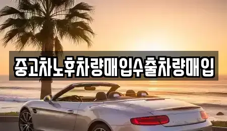 경기도 성남시 분당구 백현동 중고차매입 전문 중고차노후차량매입수출차량매입