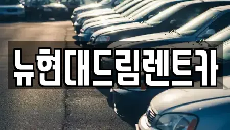 경기도 성남시 수정구 산성동 렌트카 전문 뉴현대드림렌트카