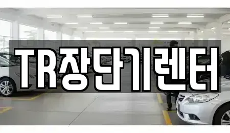 경기도 성남시 수정구 산성동 장기렌트카 전문 TR장단기렌터