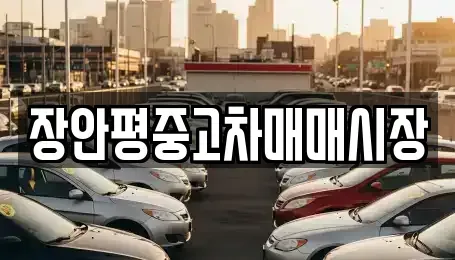 경기도 성남시 수정구 산성동 중고차 전문 장안평중고차매매시장