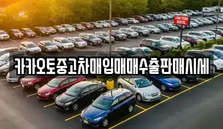 경기도 수원시 권선구 금곡동 중고차 전문 카카오토중고차매입매매수출판매시세