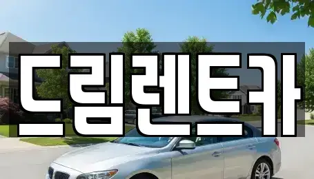 경기도 시흥시 신천동 렌트카 전문 드림렌트카
