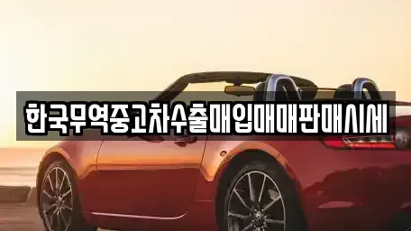 경기도 시흥시 신천동 중고차 전문 한국무역중고차수출매입매매판매시세