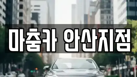 경기도 안산시 단원구 초지동 단기렌트카 전문 마춤카 안산지점