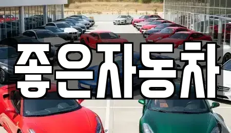 경기도 안산시 단원구 초지동 중고차매매 전문 좋은자동차