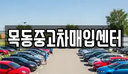 경기도 안산시 단원구 초지동 중고차매입 전문 목동중고차매입센터